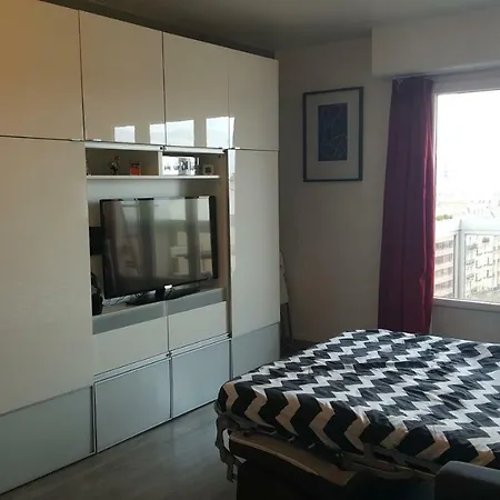 Appartement Studio Vue Tour Eiffel Paris